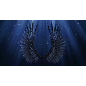 Bird Wings Rigged